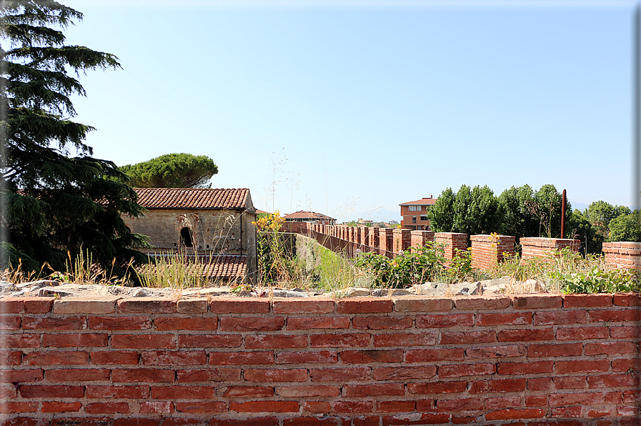 foto Camminamento delle mura di Pisa